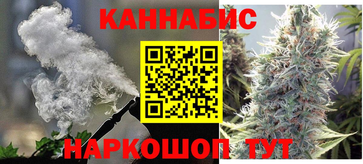 Бошки Шишки гибрид Гусиноозёрск